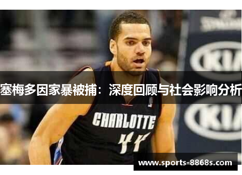 塞梅多因家暴被捕：深度回顾与社会影响分析