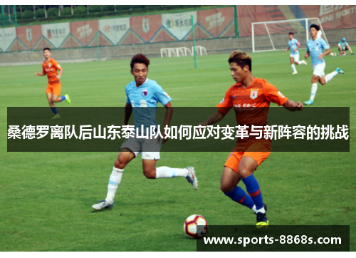 桑德罗离队后山东泰山队如何应对变革与新阵容的挑战