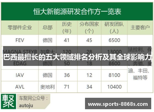 巴西最擅长的五大领域排名分析及其全球影响力
