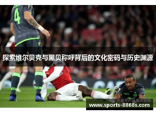 探索维尔贝克与黑贝称呼背后的文化密码与历史渊源 探索维尔贝克与黑贝称呼背后的文化密码与历史渊源