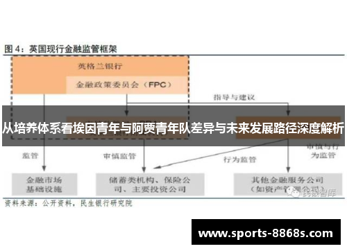 从培养体系看埃因青年与阿贾青年队差异与未来发展路径深度解析